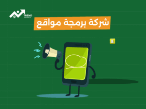 شركة برمجة مواقع لابتكار حلول تقنية: بوابتك لمستقبل رقمي ناجح