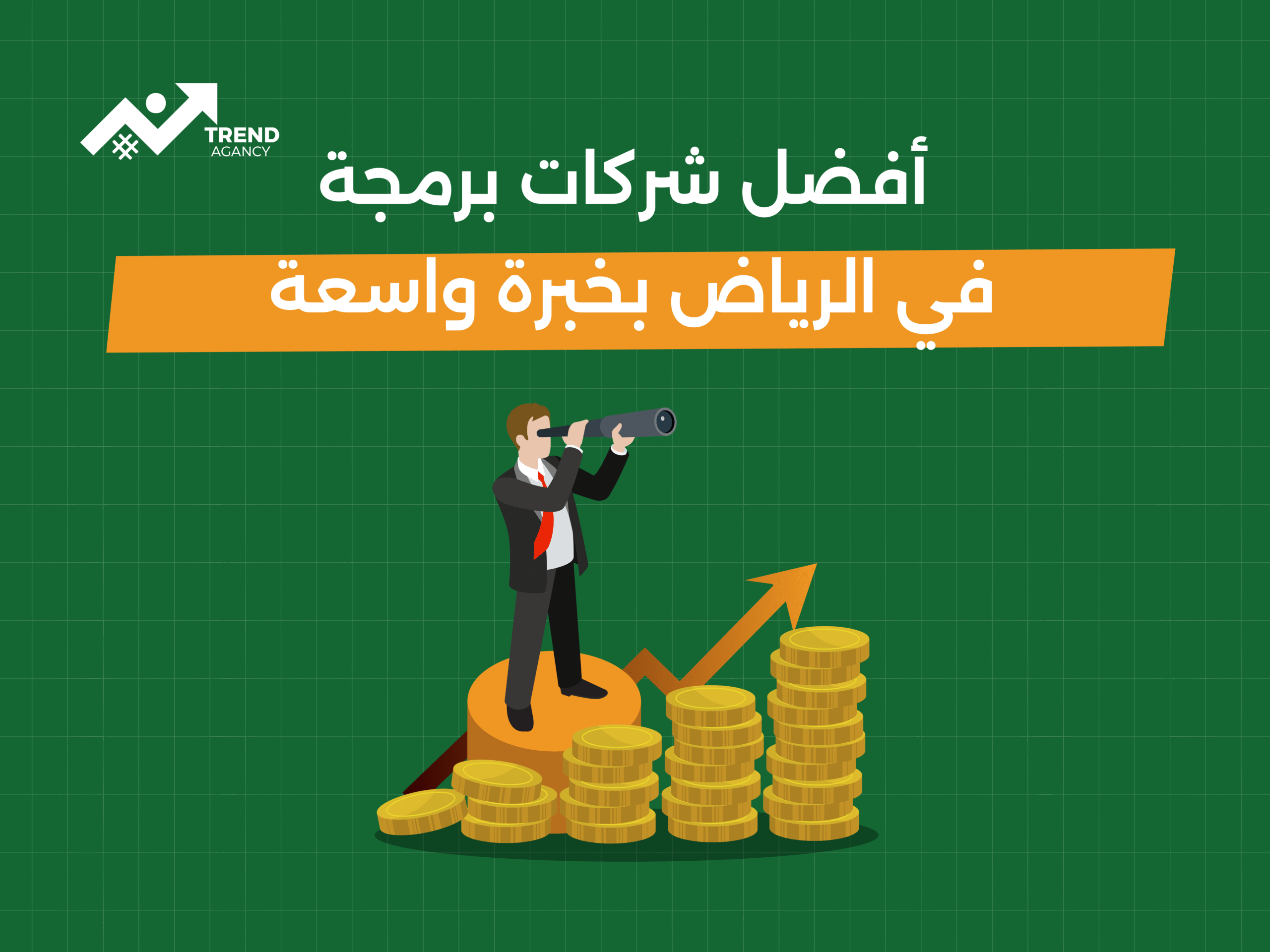 أفضل شركات برمجة في الرياض بخبرة واسعة
